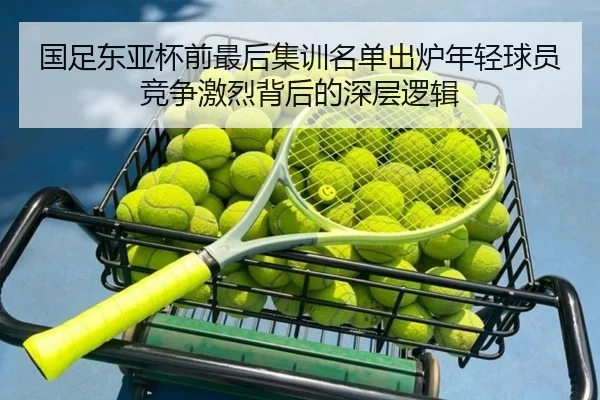 国足东亚杯前最后集训名单出炉年轻球员竞争激烈背后的深层逻辑